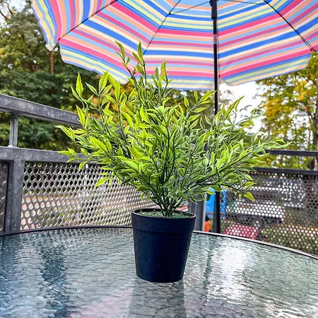 Apartment Strandvilla Krabbe 12